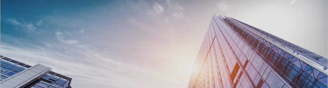 大型国有企业及上市公司